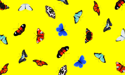 Fototapeta premium Pattern / Background Butterfly