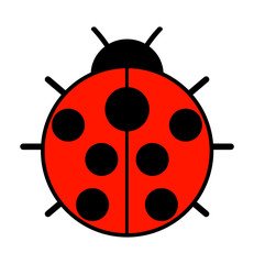 Obraz premium てんとう虫