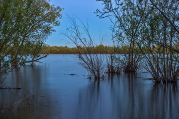 reflection of trees in the water