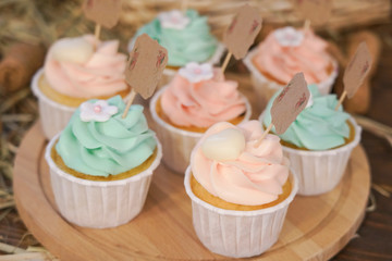cupcakes and cookies in pink and turquoise colors