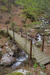 passerelle pont en bois en randonnée pour passer une rivière