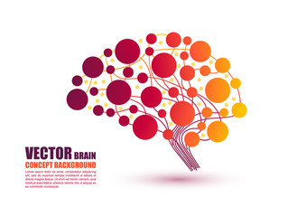 Colorful brain concept in vector illustration	