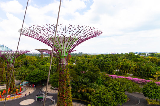 Best ガーデンズバイザベイ Images Stock Photos Vectors Adobe Stock