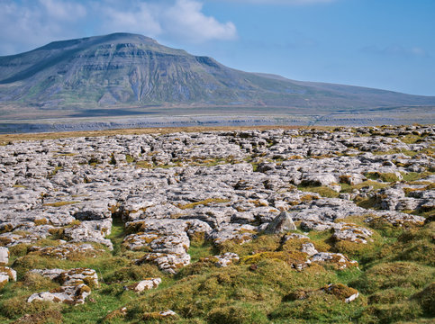 Limestone pavement - an area of limestone eroded by water - on Scales Moor in the Yorkshire Dales, UK, with Ingleborough in the background