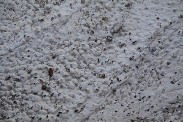 Gray Concrete Texture