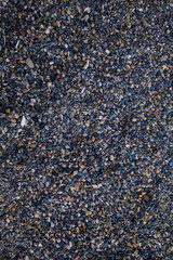 Texture of small stones in grey tones