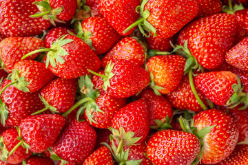 Fresh organic Strawberry fruit background Top view closeup