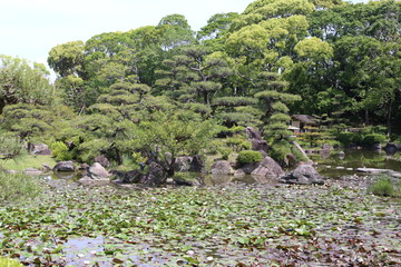 japon 
