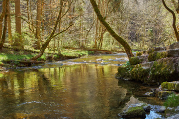 Fototapeta na wymiar hiking in the river gauchach canyon in the black forest in germany