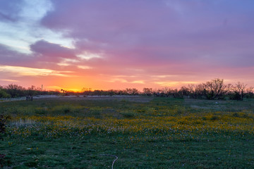 Panoramic view of sunrise over rural desert landscape. Horizontal shot.