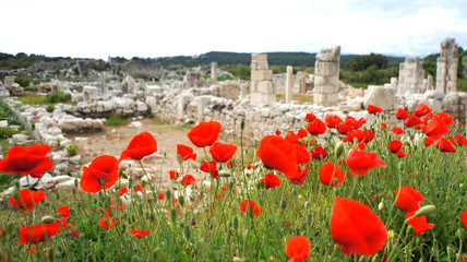 Fototapete bei efototapeten.de bestellen   