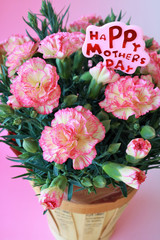 カーネーション