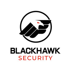 Black hawk security logo concept