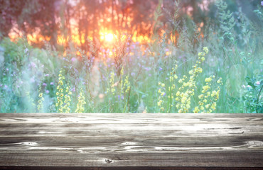 Sunny sunset over forest and wildflowers background
