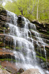 Beautiful waterfall cascades 