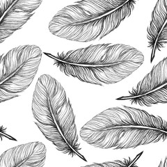 Beautiful seamless hand drawn feather pattern vector