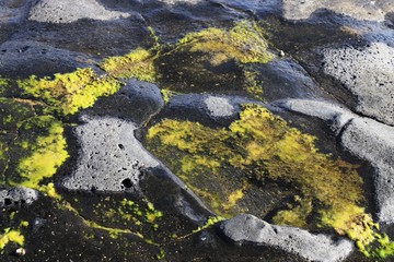 bord de mer de la Graciosa, Lanzarote