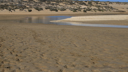 reflet de bord de mer