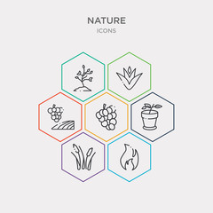 simple set of flame, reeds, plant pot, grapevine icons, contains such as icons vineyard, agave, tree growing and more. 64x64 pixel perfect. infographics vector