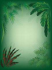 Fototapeta na wymiar Jungle foliage background