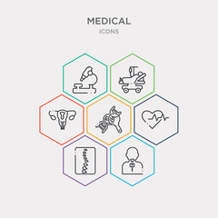 simple set of larynx, spinal cord, heart beat, genetics icons, contains such as icons fallopian tube, ward, observation tool and more. 64x64 pixel perfect. infographics vector