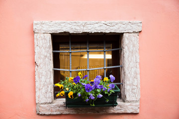 Fototapeta na wymiar Flower pot in old styled window.