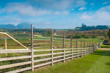 Fototapeta na wymiar Wooden fence and vast grassland on the farm