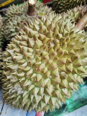 Naklejka na ściany i meble agriculture,asia,asian,background,brown,business,closeup,delicious,durian,east,exotic,food,fresh,freshness,fruit,fruits,green,harvest,healthy,isolated,king,market,natural,nature,nutrition,organic,plan