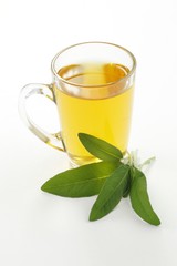 Sage tea in glass