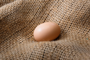Beautiful, brown egg on burlap. Natural protein, healthy food
