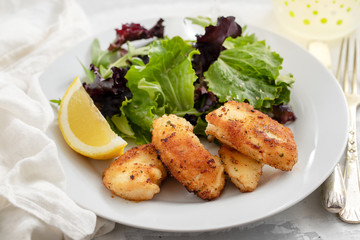 fried squid with salad and lemon on white plate