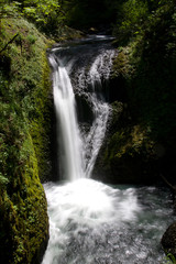 Obraz premium waterfall in the forest