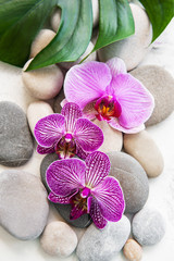 Obraz na płótnie Canvas Spa stones with orchids
