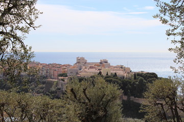 Fototapeta na wymiar View from Monaco castle