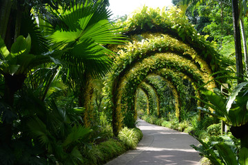 Flower arches in a beautiful ornamental garden