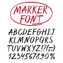 Marker hand drawn vector font