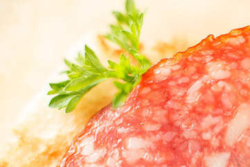 salami sausage on a slice of white bread macro shot