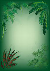 Fototapeta na wymiar Jungle foliage