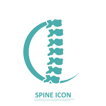 Vector human spine icon silhouette