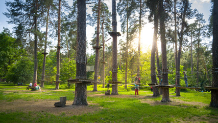 Fototapeta premium Beautiful image of ropes and bridges hanging between pine trees in park. Adventure city for children and adults at forest