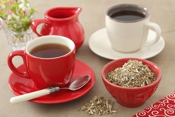 White horehound tea (Marrubium vulgare)