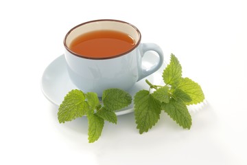 Lemon balm tea in cup