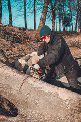 Young rural girl cut a tree chainsaw in gloves, cook firewood for winter