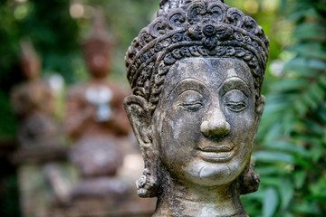 Buddha Stone Bust in Nature