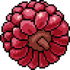 vector pixel art berry