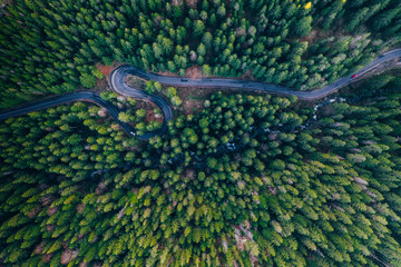 Drone view of winding forest road