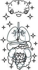 Illustration of cute human organs outline