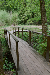 Obraz premium wooden flooring in the Park ladder bench
