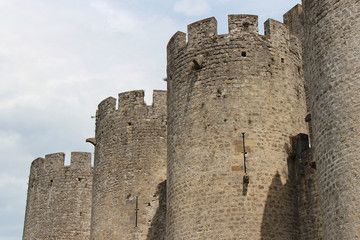 Fototapeta na wymiar medieval castle (Roquetaillade) in france
