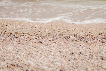 Fototapeta na wymiar Pile of seashells on a red sand lying in disorder on Yeisk braid island, Russia.
